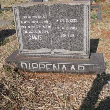 DIPPENAAR Gawie 1933-1987