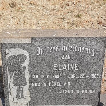 DRINKWATER Elaine 1969-1969