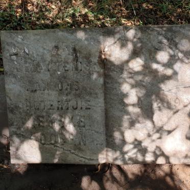 GOOSEN Renske 1965-1965