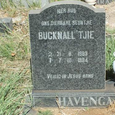 HAVENGA Bucknall'tjie 1983-1984