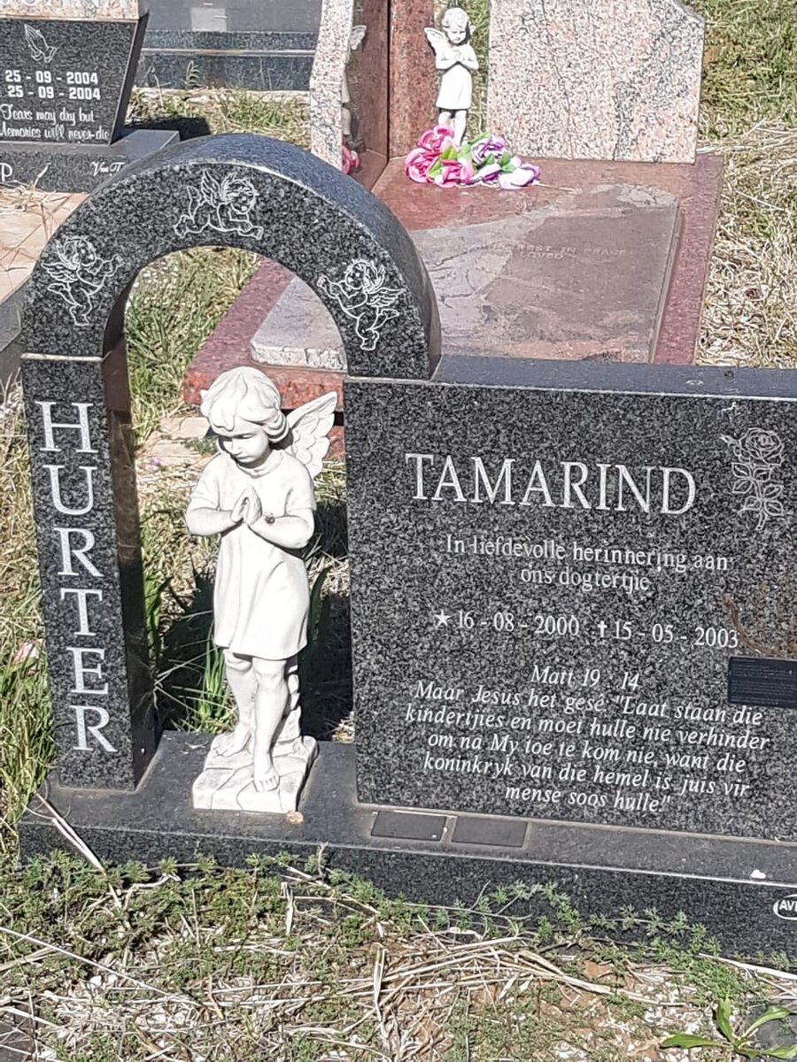 HURTER Tamarind 2000-2003