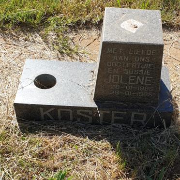 KOSTER Jolene 1985-1985