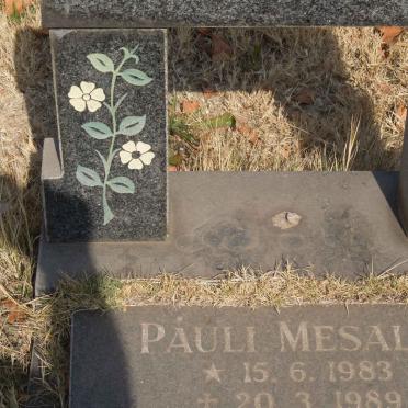 MESALIE Pauli 1983-1989