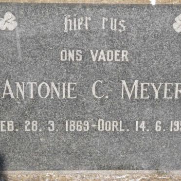 MEYER Antonie C. 1869-1954