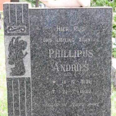 STRYDOM Phillipus Andries 1951-1960