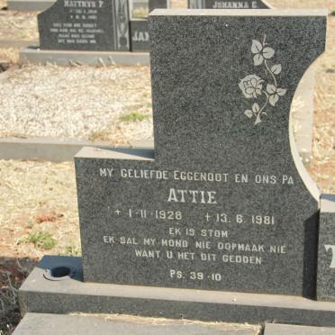 TROLLIP Attie 1928-1981