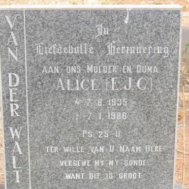 WALT E.J.C., van der 1935-1986