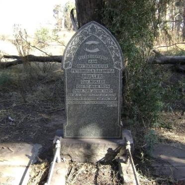 MULLER Petronella Salomina nee MULLER 1894-1927