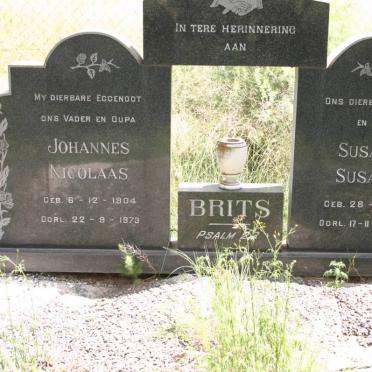 Gauteng, VANDERBIJLPARK district, Rietkuil 554, farm cemetery_2