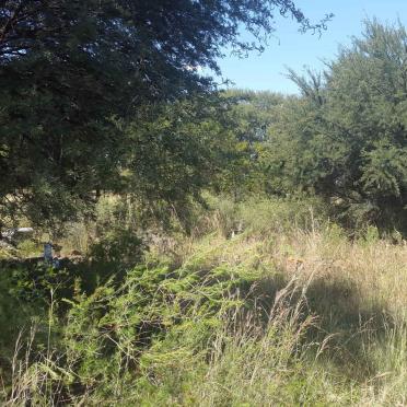 1. Overview / Oorsig