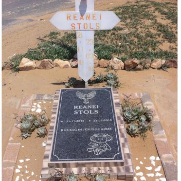 STOLS Reanei 2016-2018