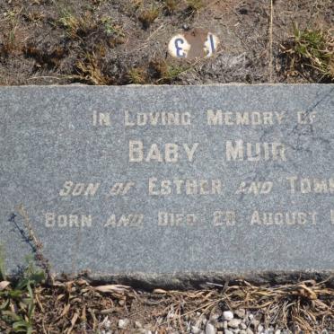 MUIR Baby 1943-1943
