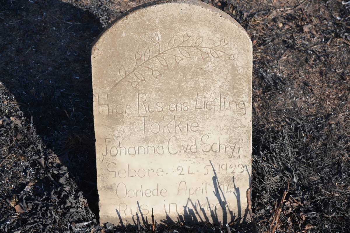 SCHYF Johanna C., v.d. 1923-1941