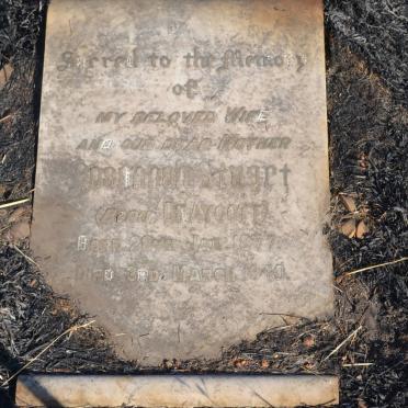 STUART Rosannah nee DRAYCOTT 1877-1940