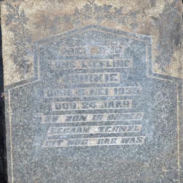 SCHYF Dirkie, van der -1935