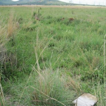 7. Overview on graves