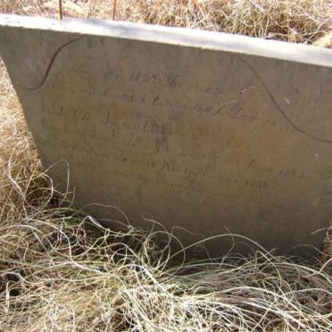 MULLER Judith Jacoba 1889-1890