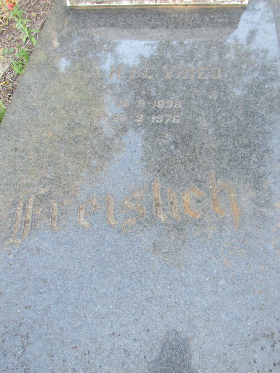 FREISLICH A.H., DE VRIES 1898-1976