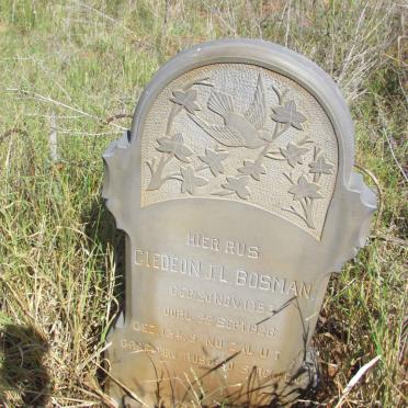 BOSMAN Giedeon J.L.1853-1926