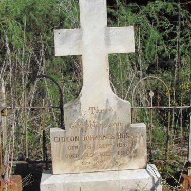 BOSMAN Gideon Johannes 1864-1909
