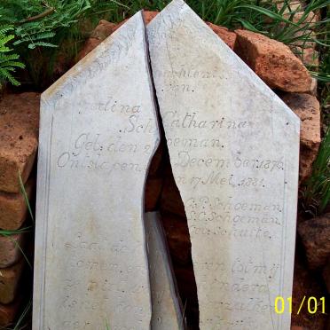 SCHOEMAN Gedina Catharina 1876-1881