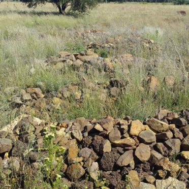 2. Overview / Oorsig