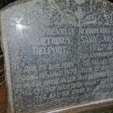 DELPORT Marthinus 1889-1973 & Sara Johanna 1898-1962