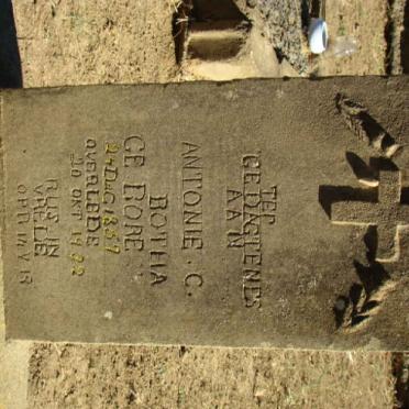 BOTHA Antonie C. 1857-1932