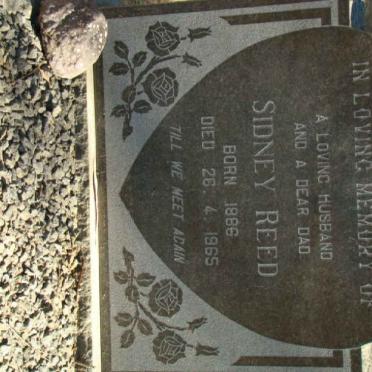 REED Sidney 1886-1965