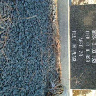 SCHMIDT Theodor 1921-1999