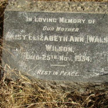 WILSON Daisy Elizabeth Ann nee WALSH -1934