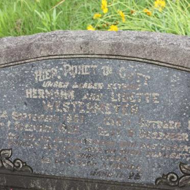 WESTERMEYER Herman 1857-1925 &amp; Lisette 1860-1944