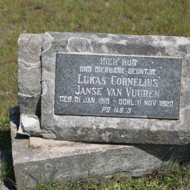 VUUREN Lukas Cornelis, Janse van 1919-1920