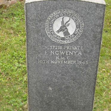 NGWENYA F. -1945