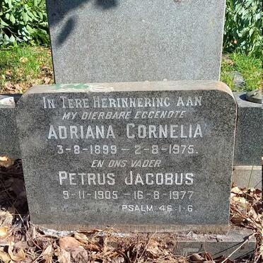 ? Petrus Jacobus 1905-1977 :: ? Adriana Cornelia 1899-1975