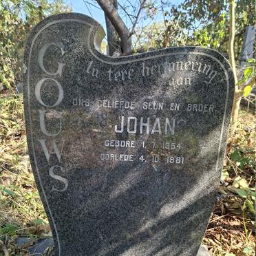 GOUWS Johan 1954-1981