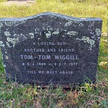 WIGGILL Tom-Tom 1959-1977