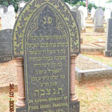 PANOVKA Feige Hodel -1910