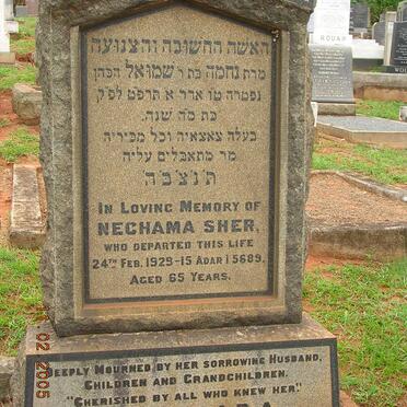 SHER Nechama -1929