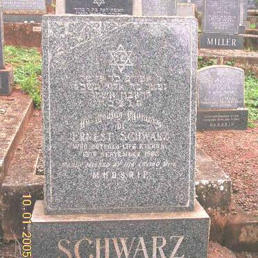 SCHWARTZ Ernest -19??