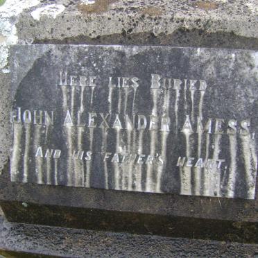 AMESS John Alexander