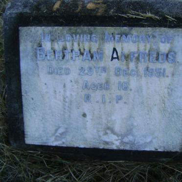 ALFREDS Bertram -1951