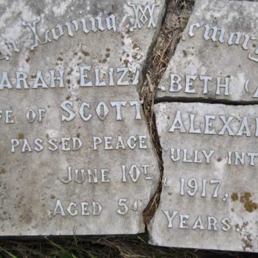 ALEXANDER Sarah Elizabeth -1917