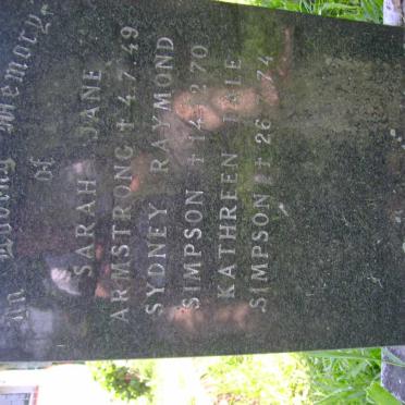 ARMSTRONG :: SIMPSON