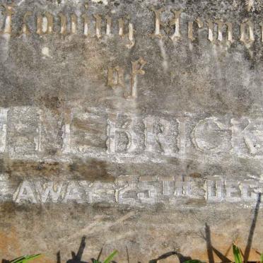 BRICK M.M. -1963