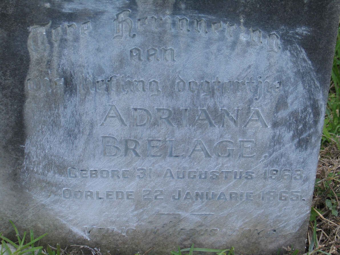 BRELAGE Adriana 1963-1965