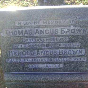 BROWN Thomas Angus 1870-1923 &amp; Edith Blanche 1872-1951 :: BROWN Harold Angus 1895-1916