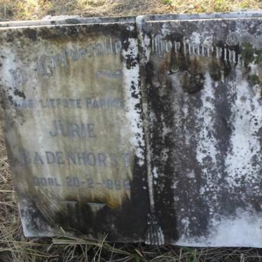 BADENHORST Jurie -1968