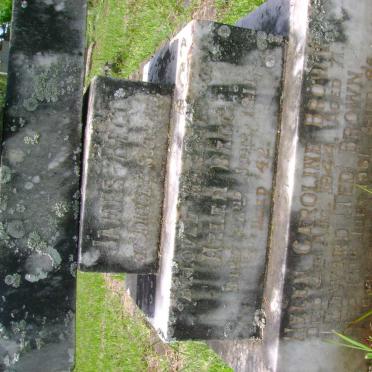 BEGG James &amp; Helen -1911 :: BROWN Edward -1961 &amp; Helen Caroline -1944 