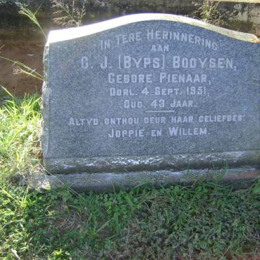 BOOYSEN C.J. nee PIENAAR -1951